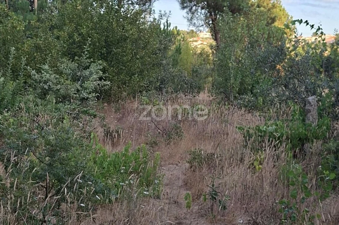 Quinta T2 para Venda em Travanca de Lagos Foto 36