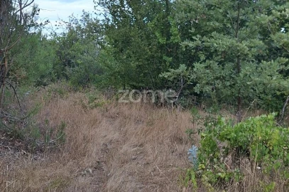 Quinta T2 para Venda em Travanca de Lagos