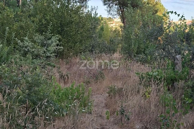Quinta T2 para Venda em Travanca de Lagos Foto 36