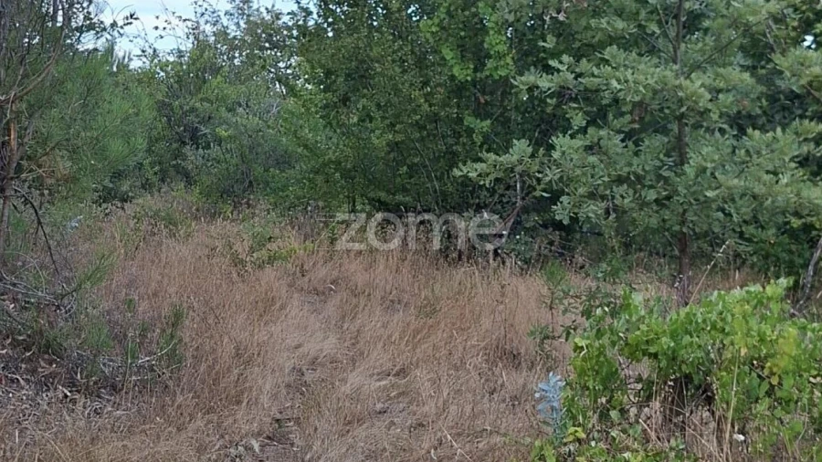 Quinta T2 para Venda em Travanca de Lagos