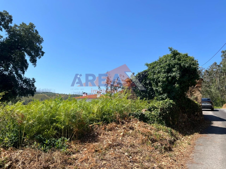 Terreno para Venda em Ossela Foto 6