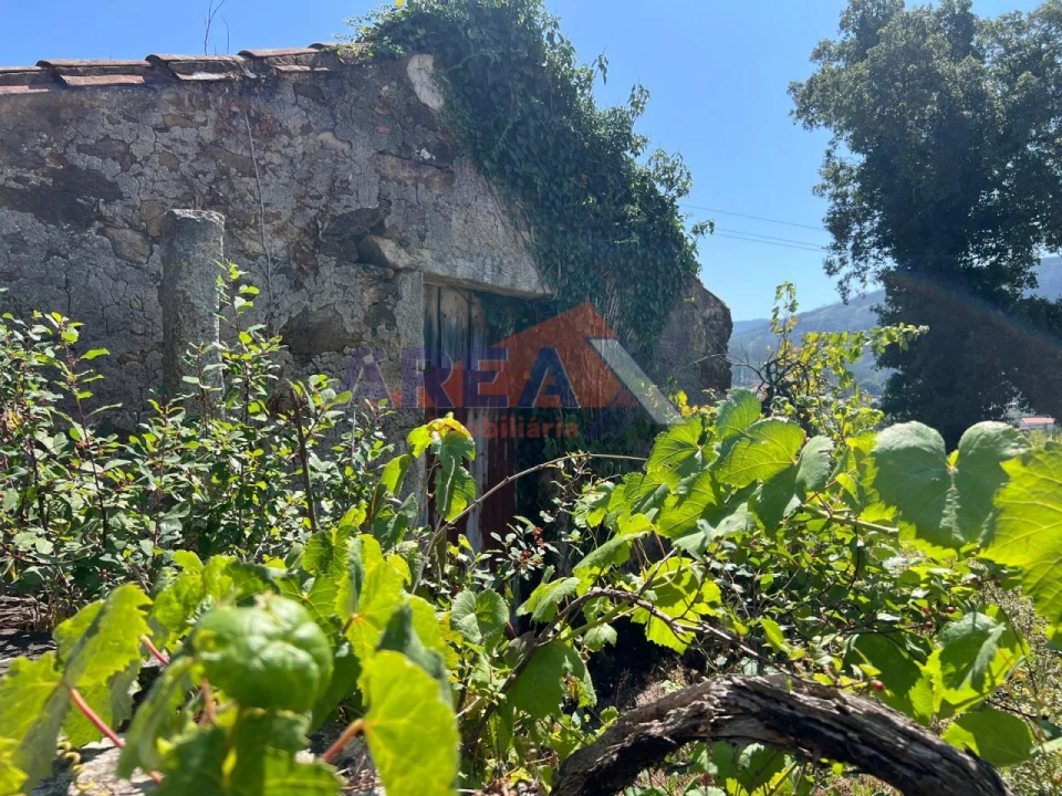 Terreno para Venda em Ossela Foto 7
