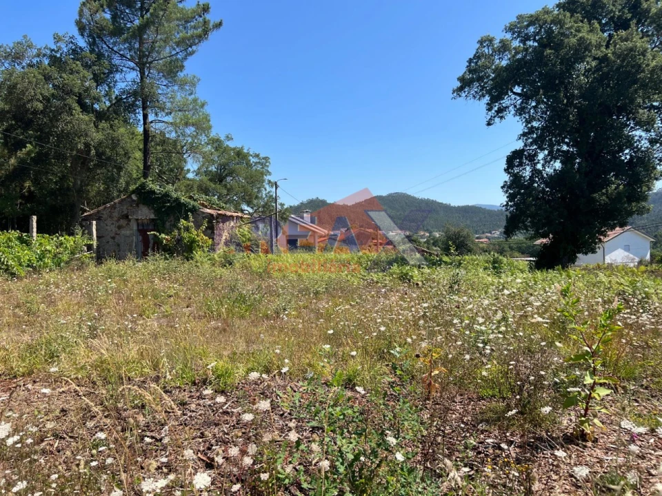 Terreno para Venda em Ossela Foto 8