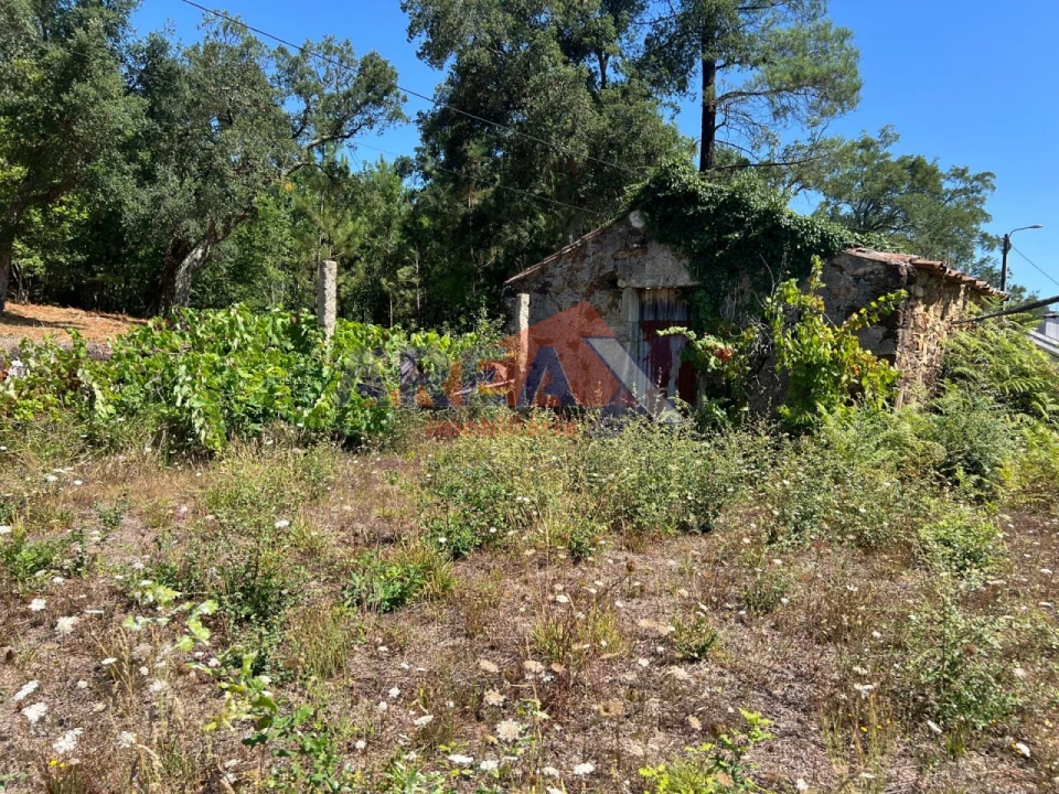 Terreno para Venda em Ossela Foto 9