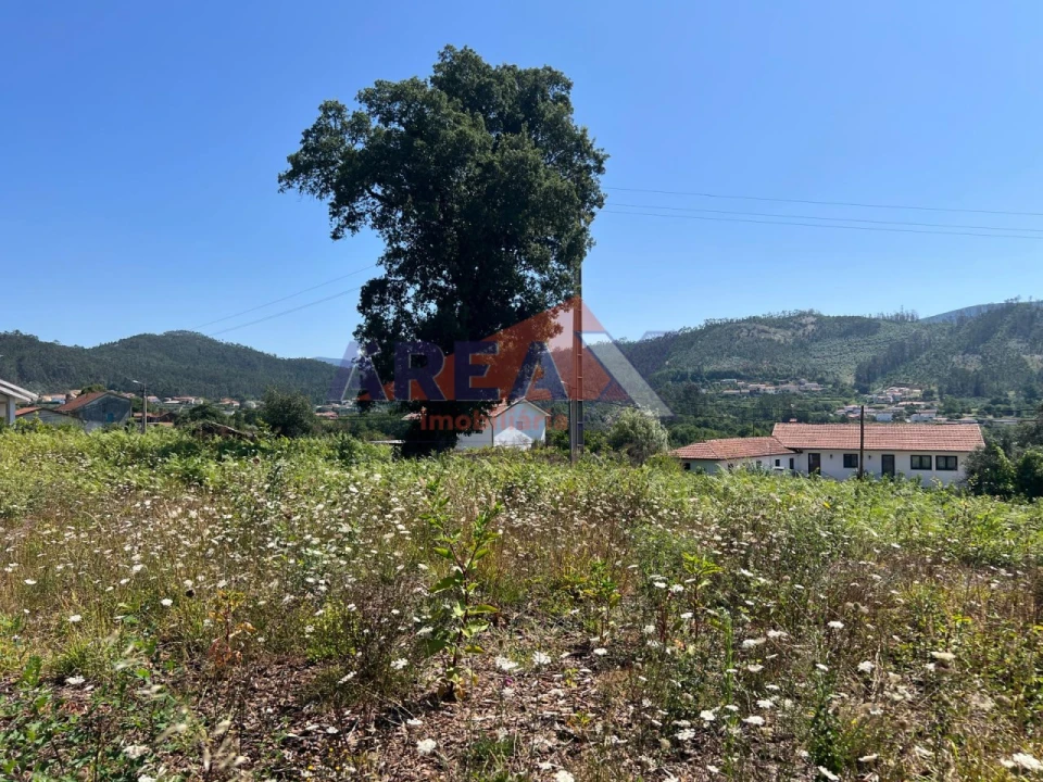 Terreno para Venda em Ossela Foto 11
