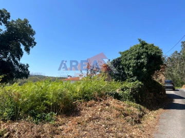 Terreno para Venda em Ossela