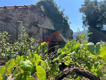 Terreno para Venda em Ossela