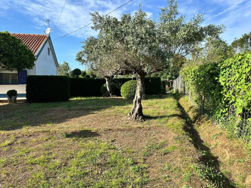 Quinta T4 para Venda em Martinchel Foto 16
