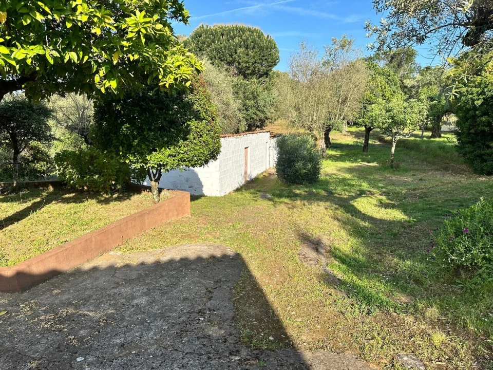 Quinta T4 para Venda em Martinchel Foto 29