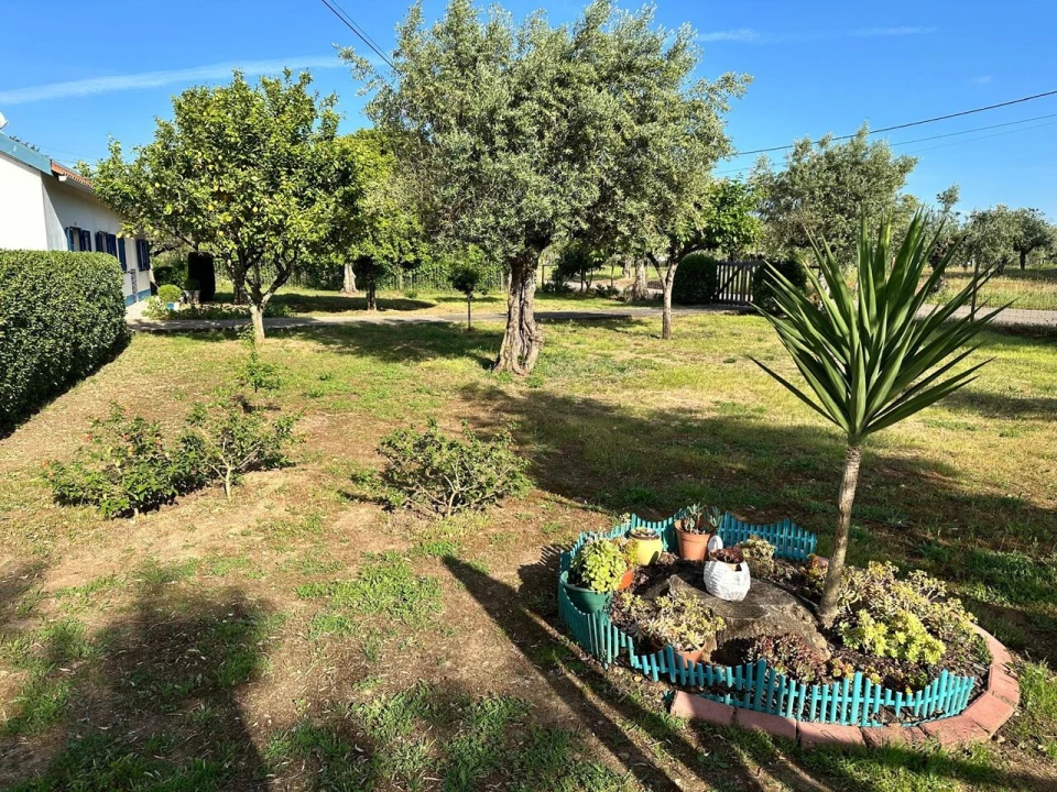 Quinta T4 para Venda em Martinchel Foto 30