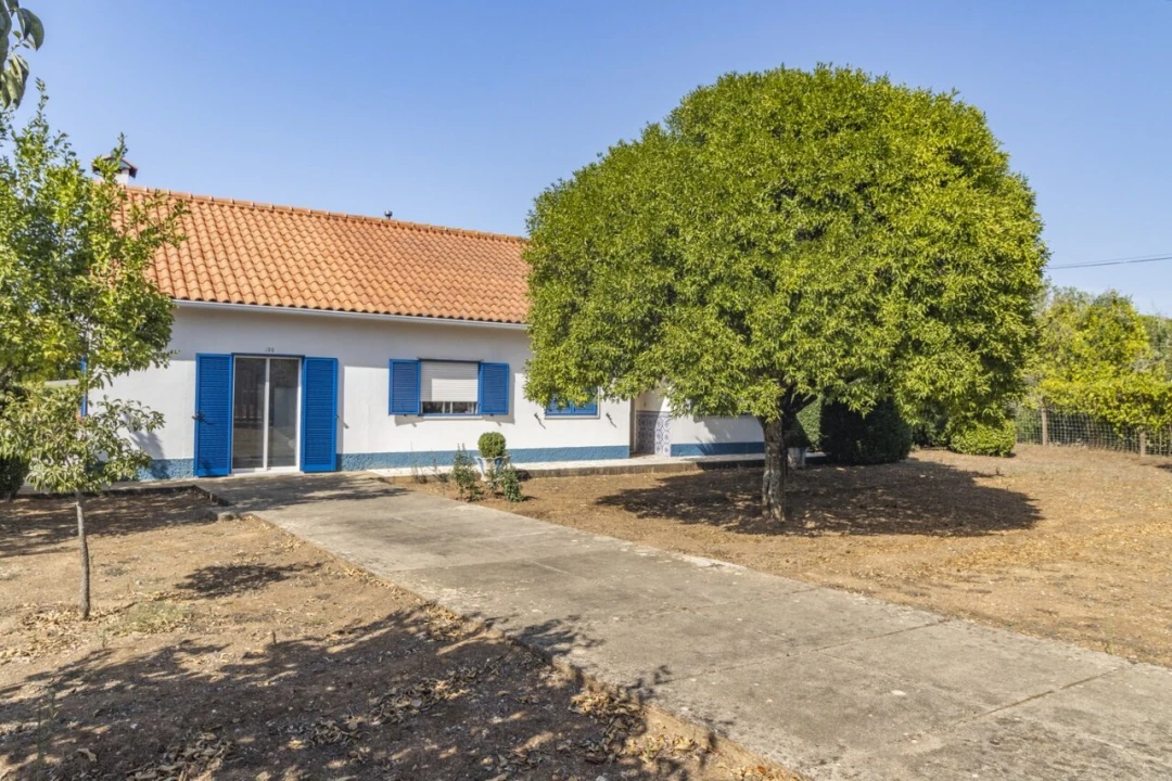 Quinta T4 para Venda em Martinchel Foto 11