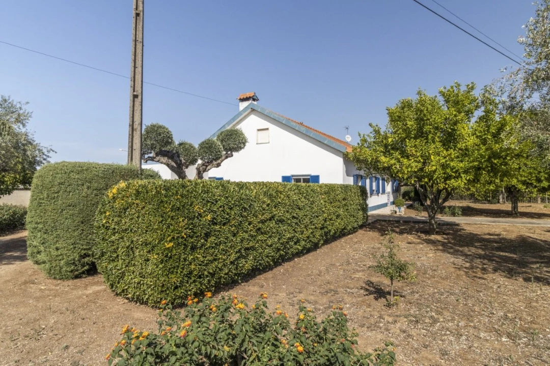 Quinta T4 para Venda em Martinchel Foto 15