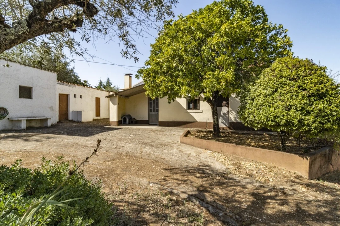 Quinta T4 para Venda em Martinchel Foto 17