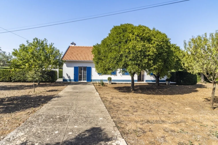 Quinta T4 para Venda em Martinchel Foto 12