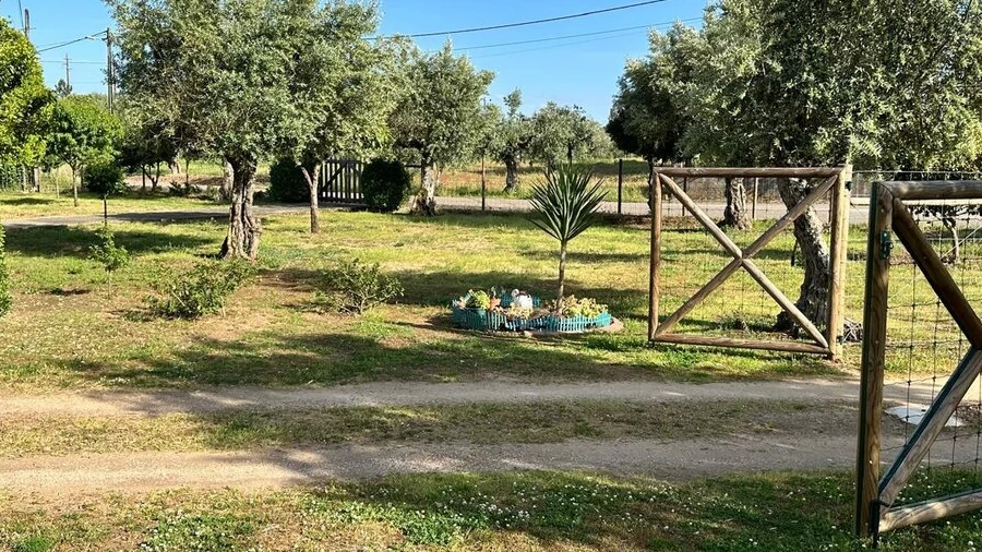 Quinta T4 para Venda em Martinchel