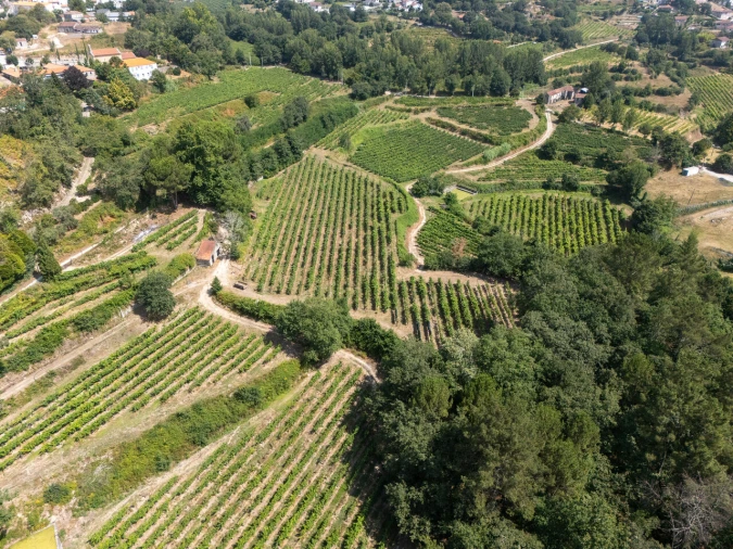 Quinta T6 para Venda em Livração Foto 26