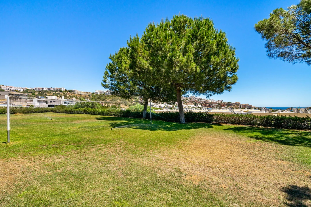 Apartamento T1 para Venda em Albufeira e Olhos de Água Foto 14
