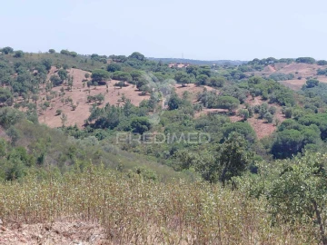 Quinta T0 para Venda em São Francisco da Serra