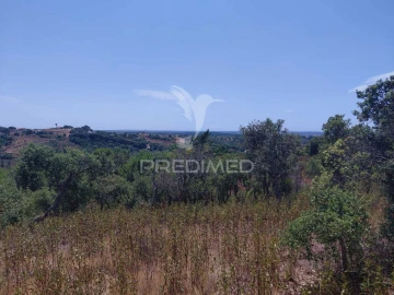 Quinta T0 para Venda em São Francisco da Serra