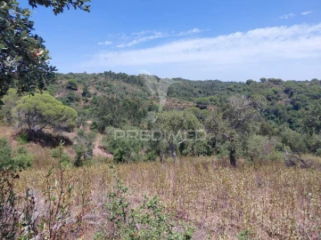 Quinta T0 para Venda em São Francisco da Serra