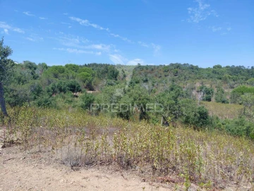 Quinta T0 para Venda em São Francisco da Serra