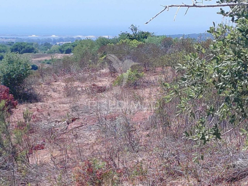 Quinta T0 para Venda em São Francisco da Serra Foto 6