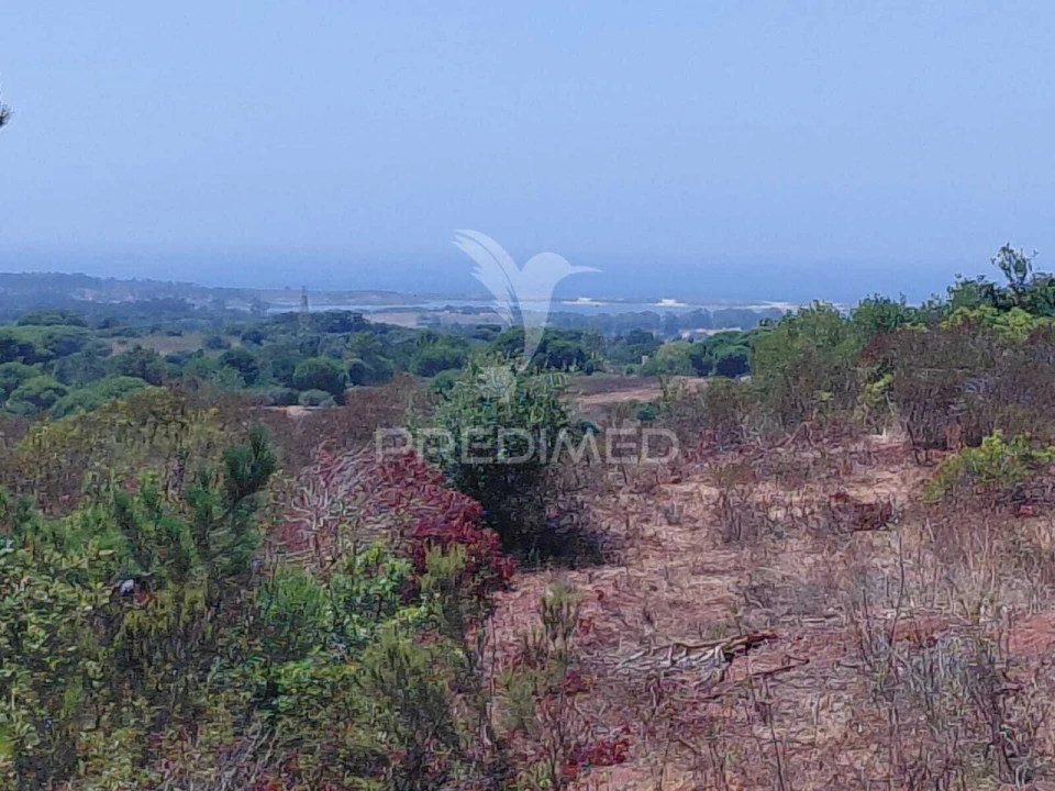 Quinta T0 para Venda em São Francisco da Serra Foto 3