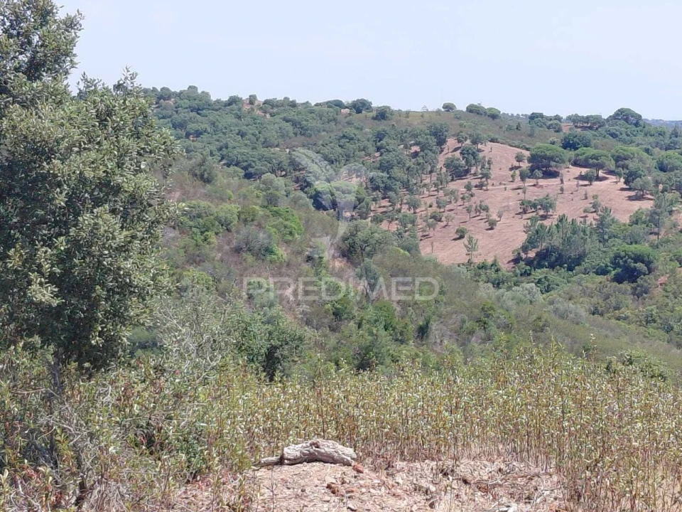 Quinta T0 para Venda em São Francisco da Serra Foto 1