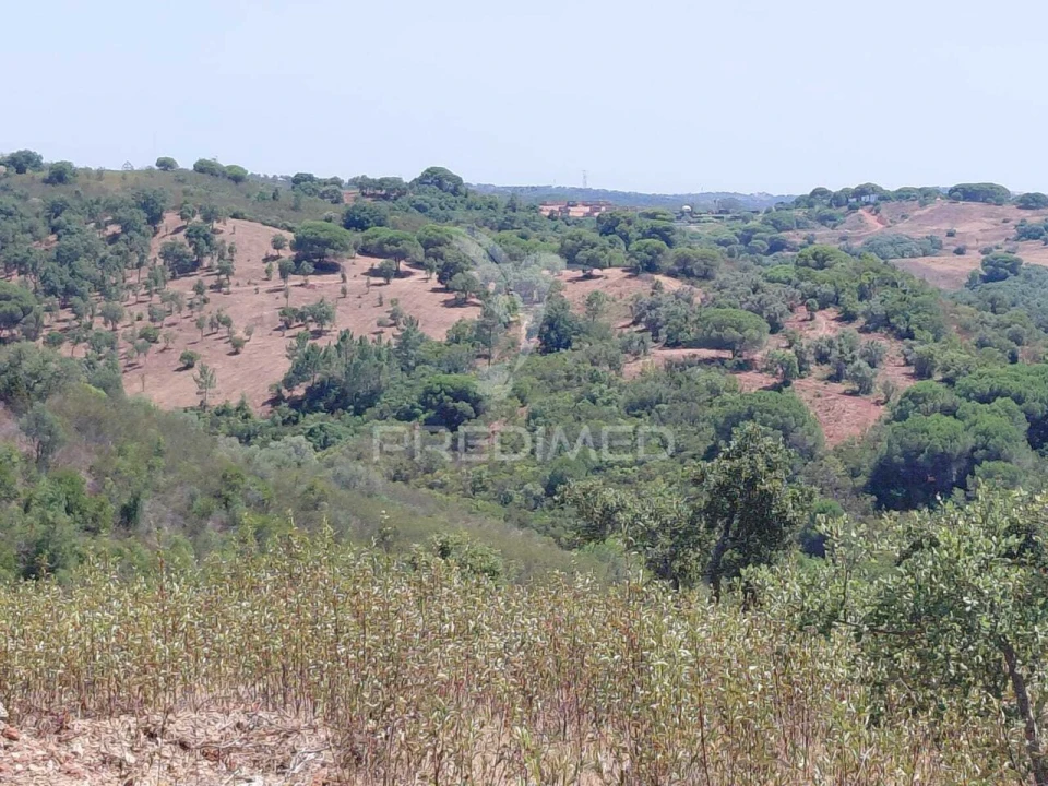 Quinta T0 para Venda em São Francisco da Serra Foto 7
