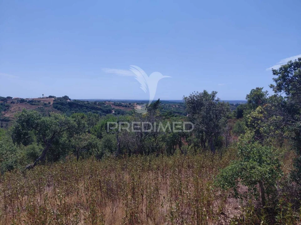 Quinta T0 para Venda em São Francisco da Serra Foto 2