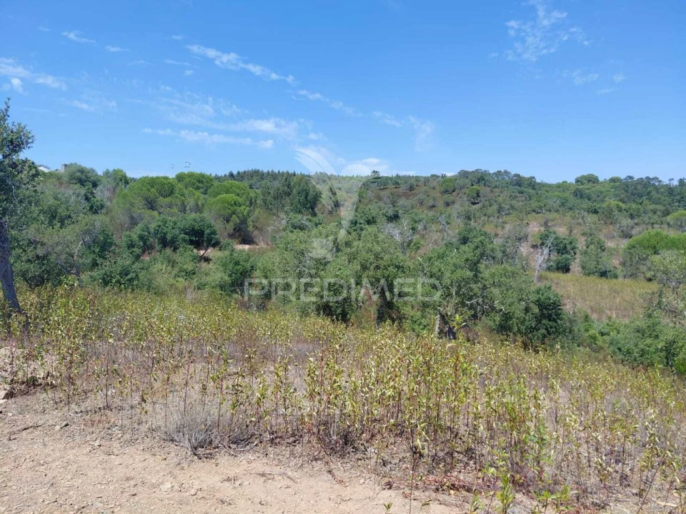 Quinta T0 para Venda em São Francisco da Serra Foto 5