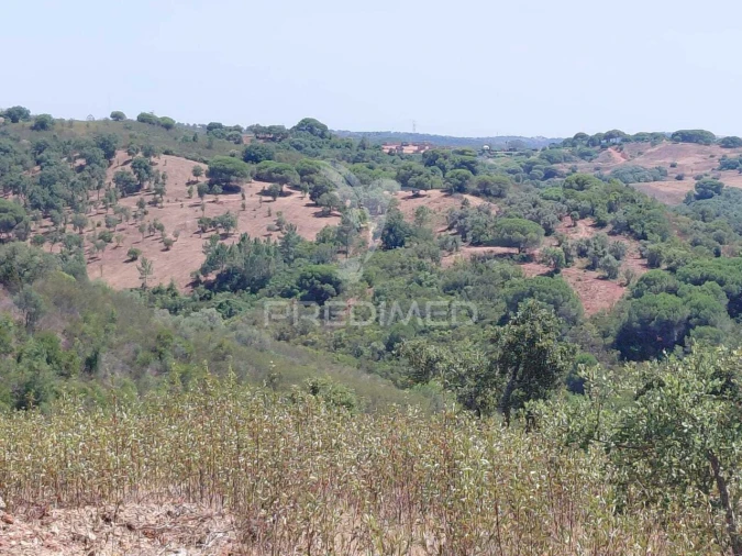Quinta T0 para Venda em São Francisco da Serra Foto 7