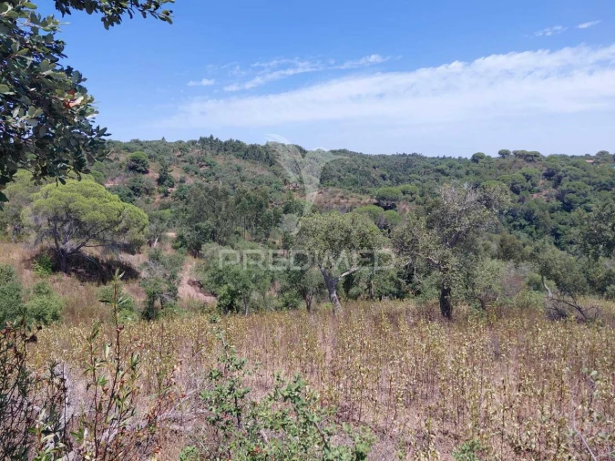 Quinta T0 para Venda em São Francisco da Serra Foto 4