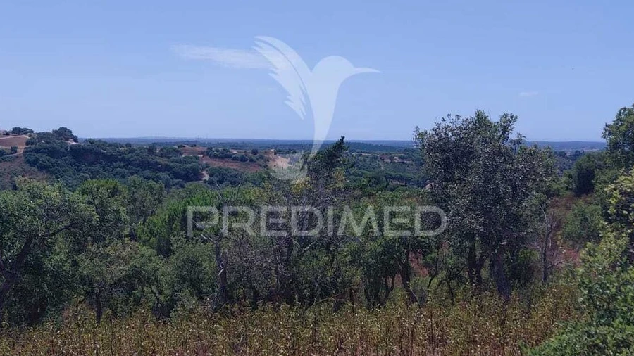 Quinta T0 para Venda em São Francisco da Serra