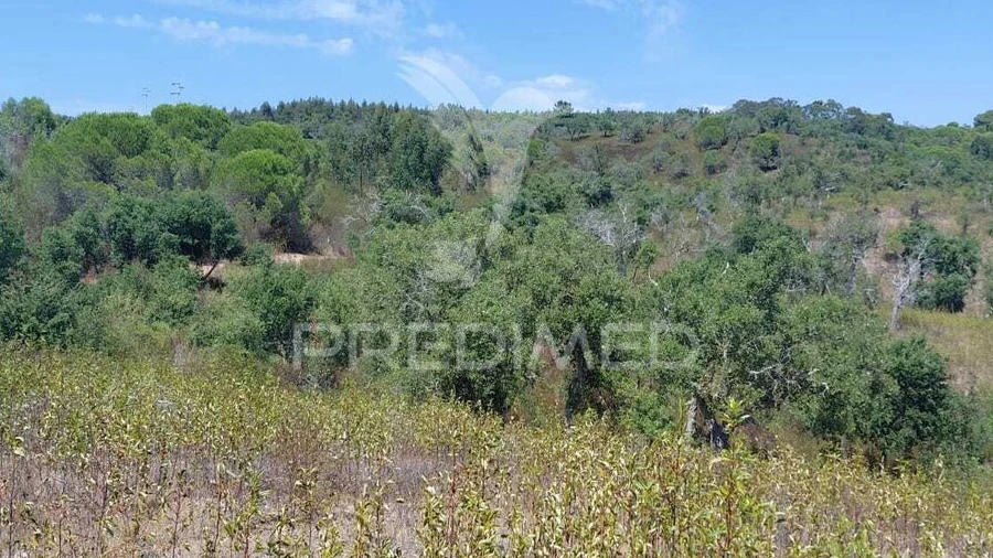 Quinta T0 para Venda em São Francisco da Serra