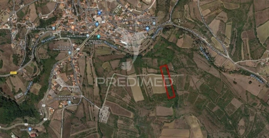 Terreno para Venda em Igreja Nova e Cheleiros