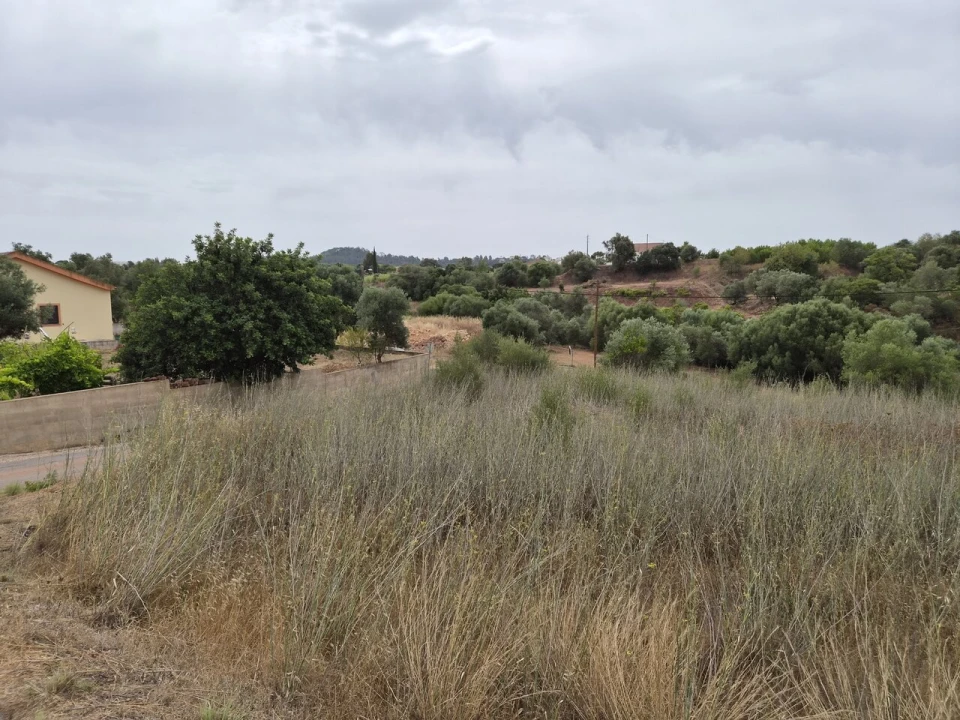 Terreno para Venda em São Bartolomeu de Messines Foto 2