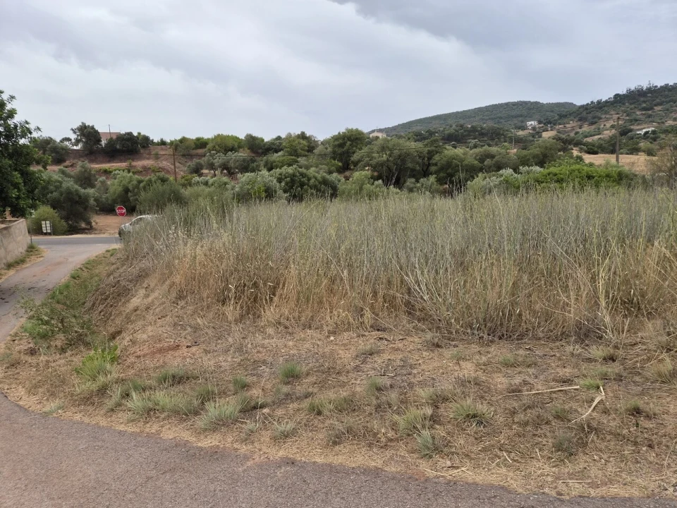 Terreno para Venda em São Bartolomeu de Messines Foto 5