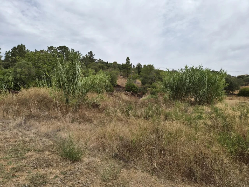Terreno para Venda em São Bartolomeu de Messines Foto 7