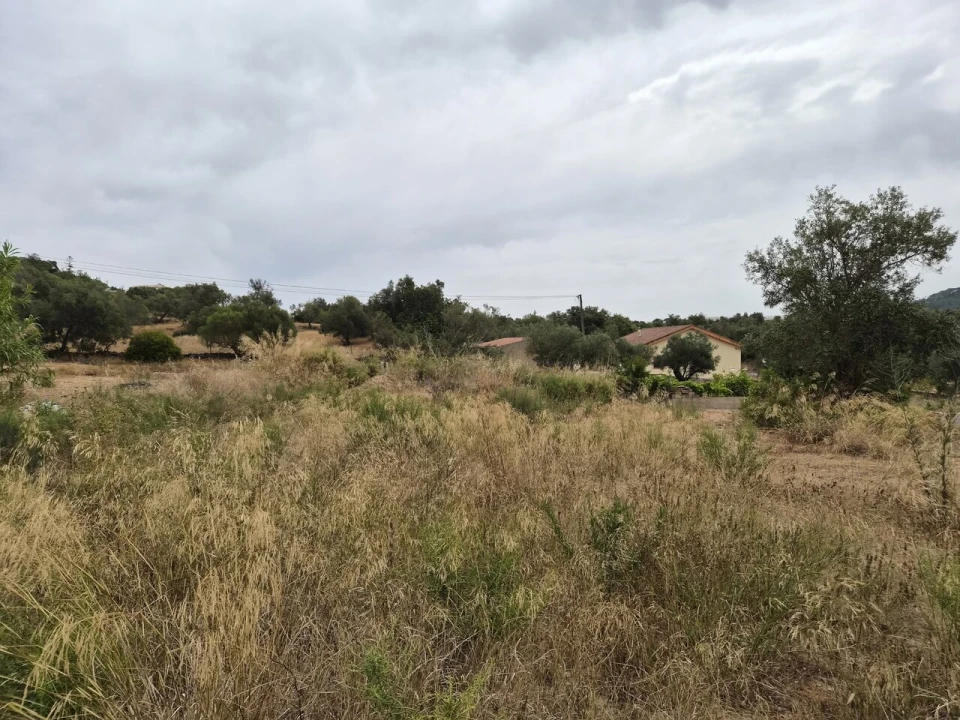 Terreno para Venda em São Bartolomeu de Messines Foto 1