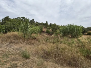 Terreno para Venda em São Bartolomeu de Messines