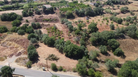 Terreno para Venda em São Bartolomeu de Messines