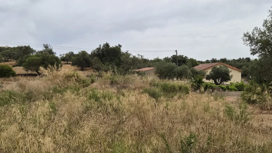 Terreno para Venda em São Bartolomeu de Messines