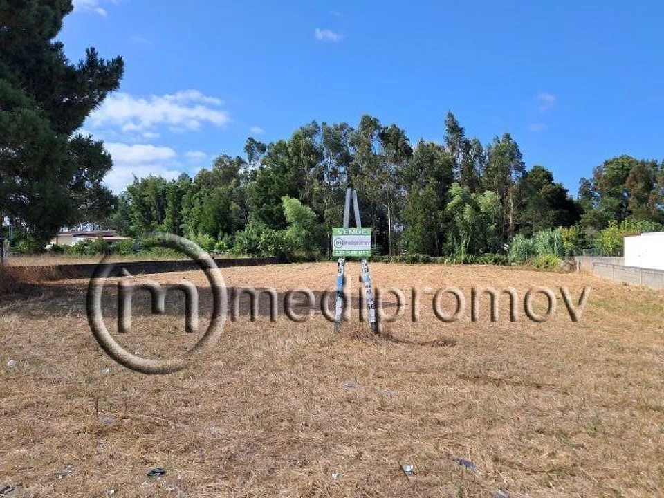 Terreno P/ Prédio para Venda em Mira Foto 1