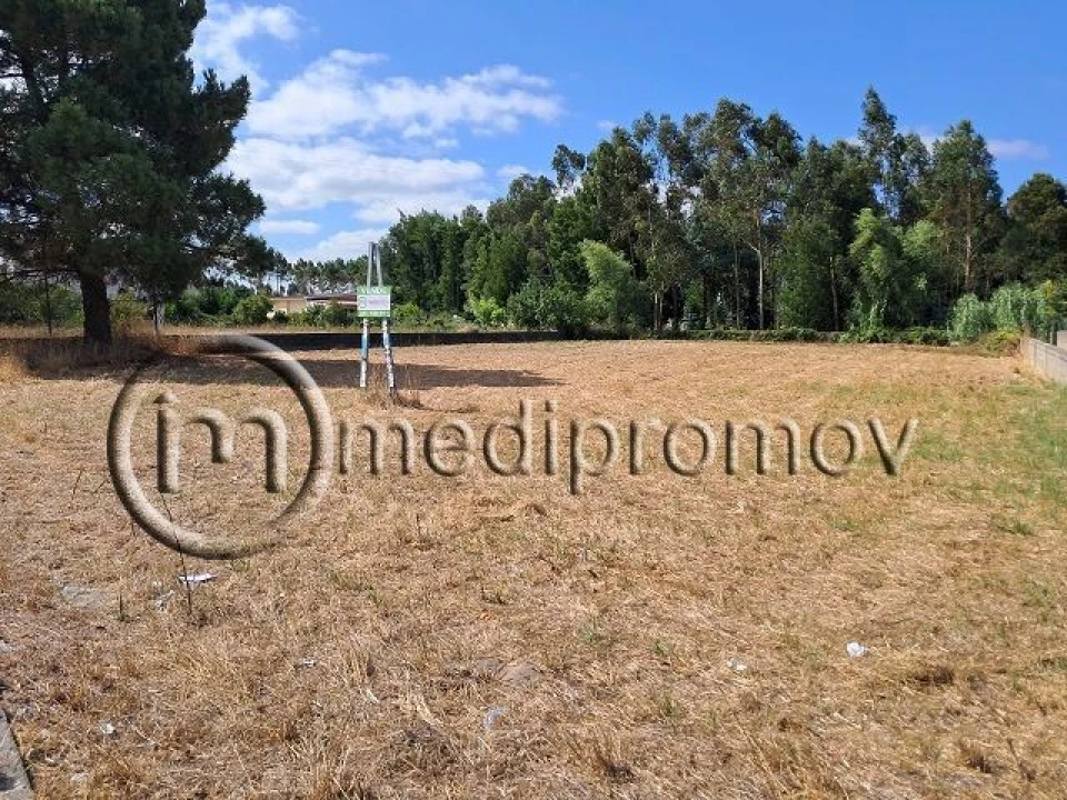 Terreno P/ Prédio para Venda em Mira Foto 2