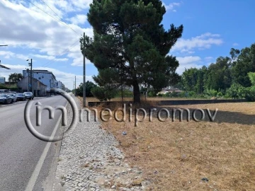 Terreno P/ Prédio para Venda em Mira