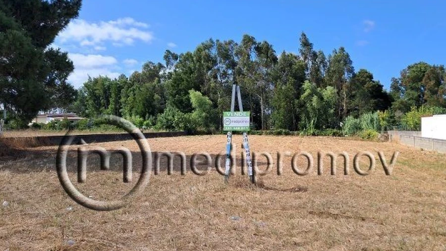 Terreno P/ Prédio para Venda em Mira