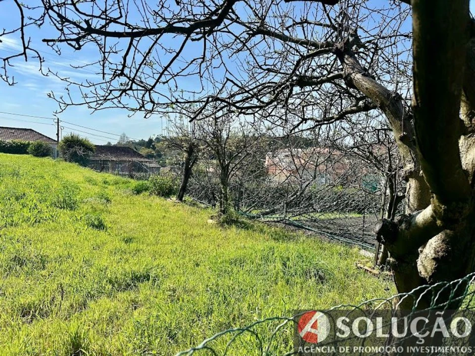 Moradia T3 para Venda em Monte Córdova Foto 21