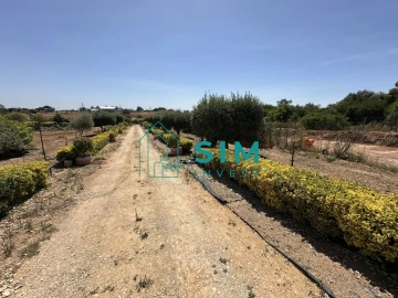 Terreno para Venda em Azambujeira e Malaqueijo