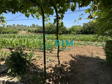 Terreno para Venda em Azambujeira e Malaqueijo